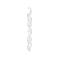 Drawing Other Drawing Other