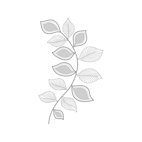 Drawing Other Drawing Other