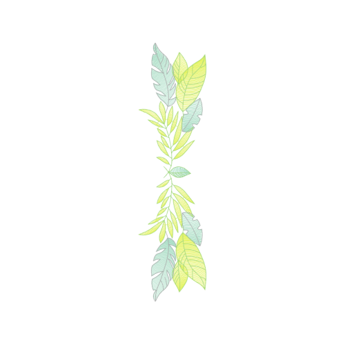 Drawing Other Drawing Other