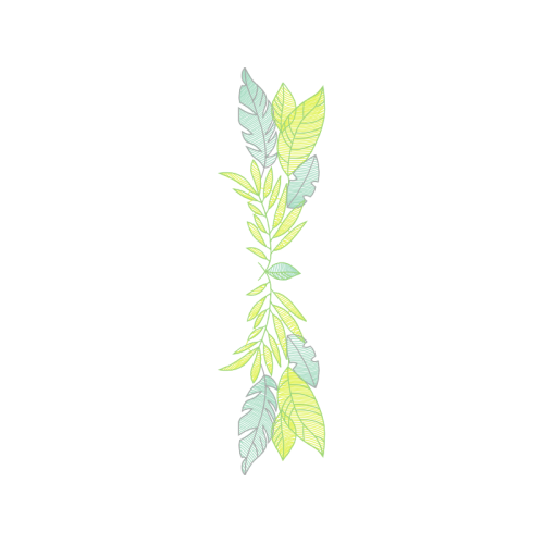 Drawing Other Drawing Other