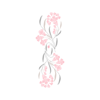 Drawing Other Drawing Other