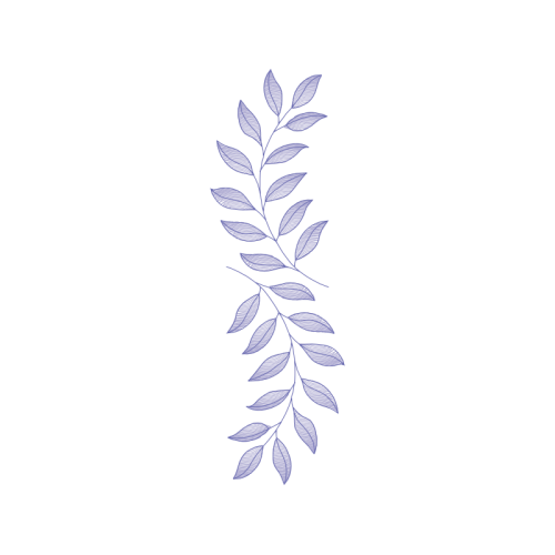 Drawing Other Drawing Other