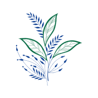 Drawing Other Drawing Other