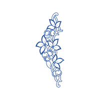 Drawing Other Drawing Other