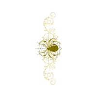 Drawing Other Drawing Other