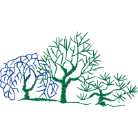 Drawing Other Drawing Other