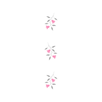 Drawing Other Drawing Other