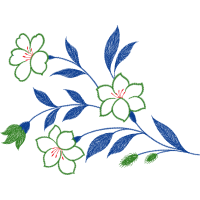 Drawing Other Drawing Other