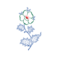 Drawing Other Drawing Other