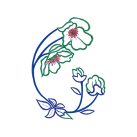 Drawing Other Drawing Other