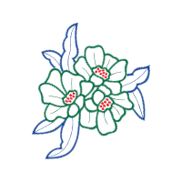 Drawing Other Drawing Other