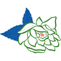 Drawing Other Drawing Other