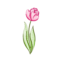 Drawing Other Drawing Other