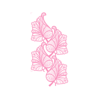 Drawing Other Drawing Other