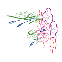 Drawing Other Drawing Other