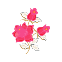 Drawing Other Drawing Other