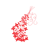 Drawing Other Drawing Other