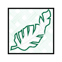 Drawing Other Drawing Other