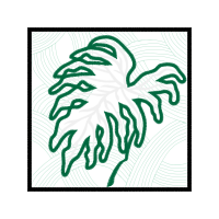 Drawing Other Drawing Other