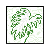 Drawing Other Drawing Other