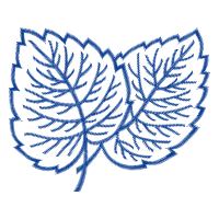 Drawing Other Drawing Other