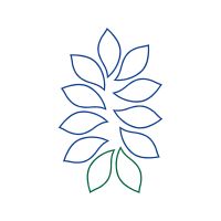 Drawing Other Drawing Other