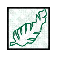 Drawing Other Drawing Other