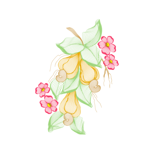 Drawing Other Drawing Other