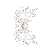 Drawing Other Drawing Other