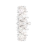 Drawing Other Drawing Other