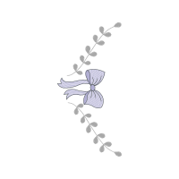 Drawing Other Drawing Other