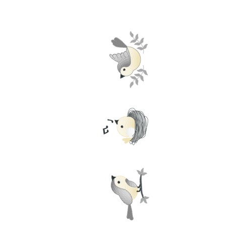 Dugong Other Dugong Other