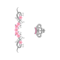 Earring Other Earring Other