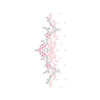 Elegant Clarkia Other