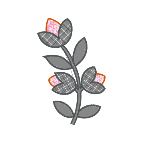 Evergreen Rose Other Evergreen Rose Other