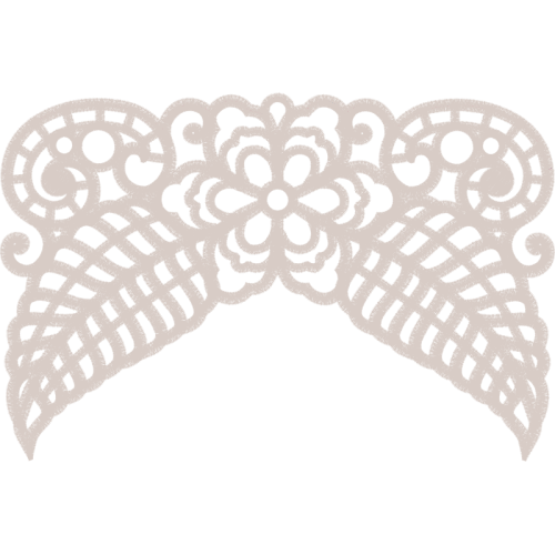 Family Caregivers Other Family Caregivers Other