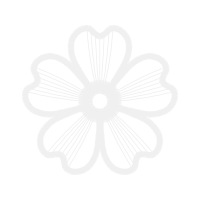 Ferrara Other Ferrara Other