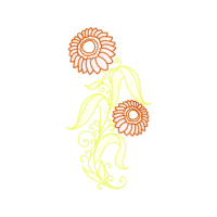 Floral Other Floral Other