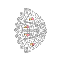 Floral Other Floral Other