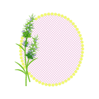 Floral Other Floral Other