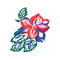 Floral Other Floral Other