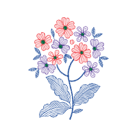 Flower Other Flower Other