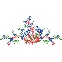 Flower Other Flower Other