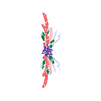 Flower Other Flower Other