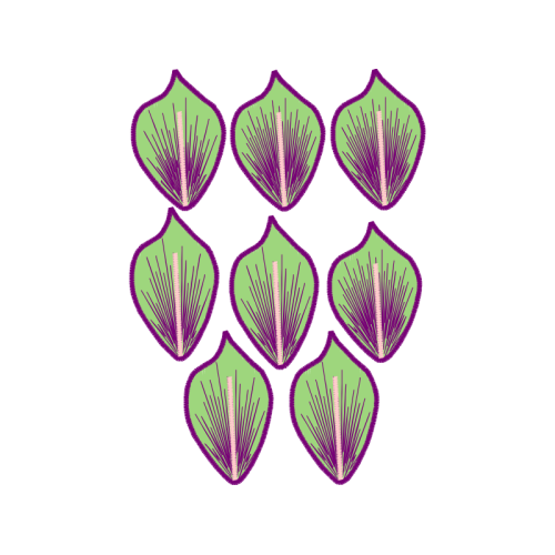 Flower Other Flower Other