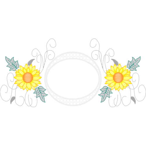 Graphic Other Graphic Other