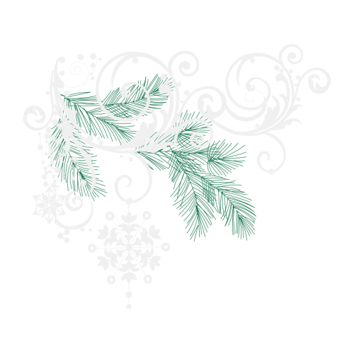 Graphic Other Graphic Other