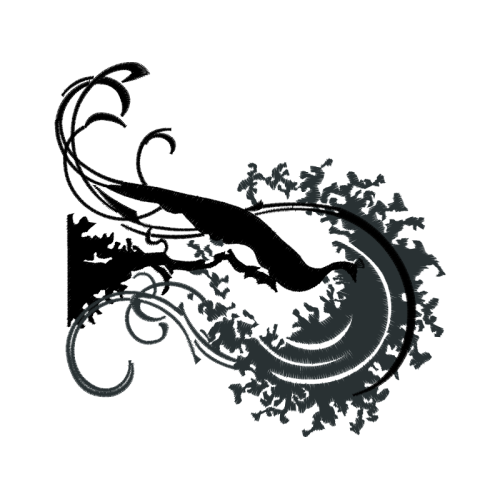 Graphic Other Graphic Other