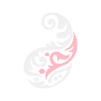 Graphic Other Graphic Other