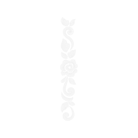 Graphic Other Graphic Other